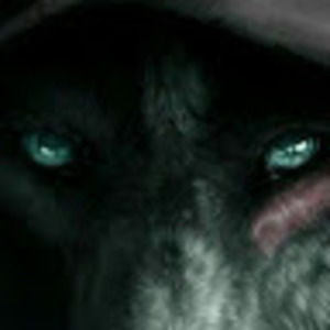 Meet your Posher, Raymond